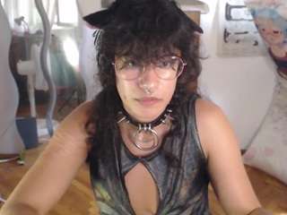 catboyprince