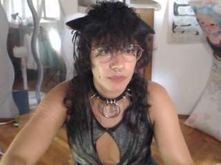 catboyprince