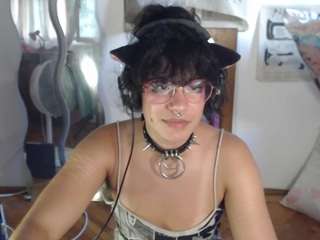 catboyprince
