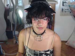catboyprince