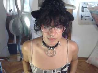 catboyprince