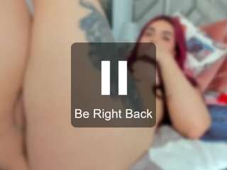 alexamodel4 webcam