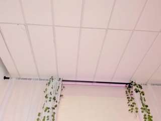 Ivybennet's cam show statistics and live stream