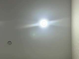 flohenke live webcam show