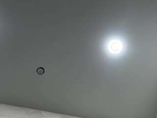 flohenke live webcam show