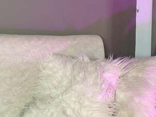 zoee-8
