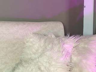 zoee-8