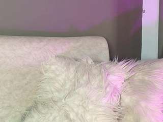 zoee-8