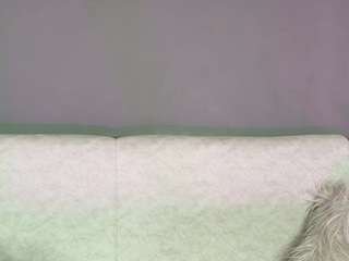 zoee-8 live webcam show