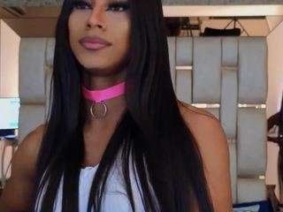 blackbeauty-ts