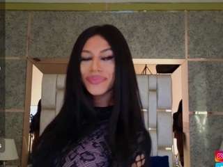 blackbeauty-ts