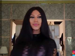 blackbeauty-ts