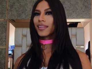blackbeauty-ts