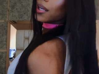 blackbeauty-ts
