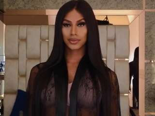 blackbeauty-ts