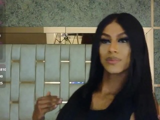 blackbeauty-ts
