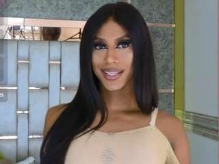 blackbeauty-ts
