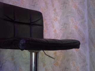 blackbeauty-ts