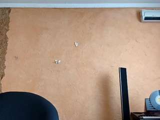 dionnaseegars webcam