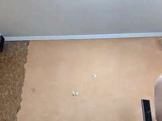 dionnaseegars webcam