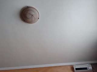 dionnaseegars