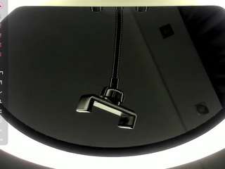 Roxy-Moor live cam preview