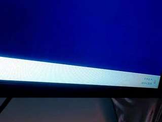 18dulcegatita webcam