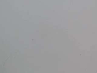 18dulcegatita webcam