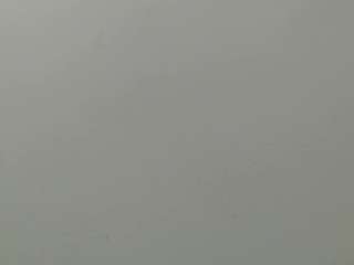 18dulcegatita webcam