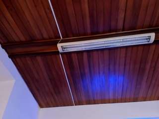 zoelins