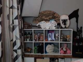Kim live webcam show