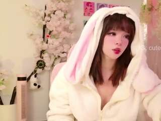 aikonaraa webcam