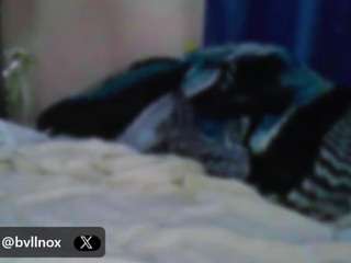 bvllnox