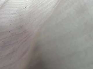 jeannettetep