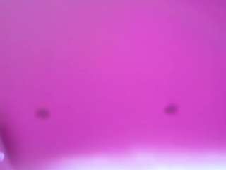 amylindsey live webcam show