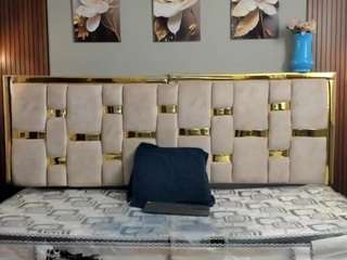 andry-will