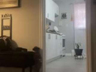 jaydamilliana Live Webcam on CamSoda