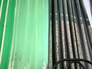 phuonglanigan webcam