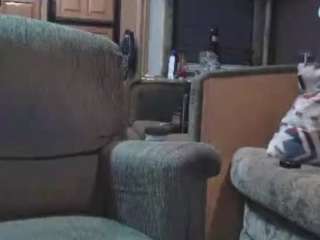 pussykrusherConqueror