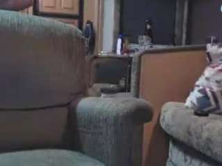 pussykrusherconqueror