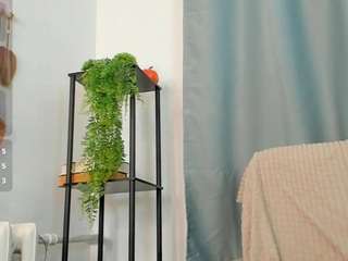 Live webcam model nacreflirt on Soda Cams