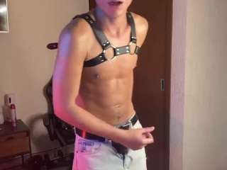 zamirpdll