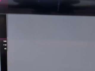 amelia-rossetti webcam