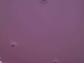 AnikaAA live cam preview