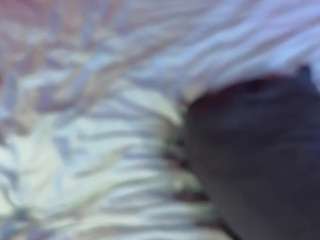 barbarafinch