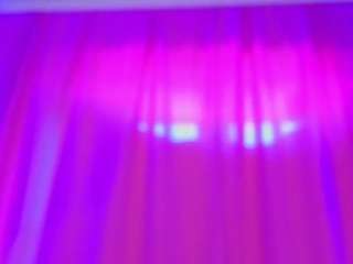 barbarafinch