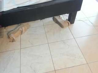 gaialewis
