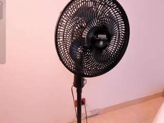 gaialewis
