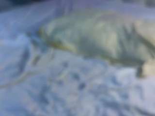 wilmajonson Live Webcam on CamSoda