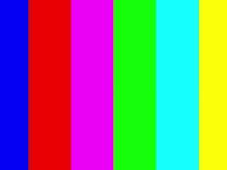 chasidymcduffie